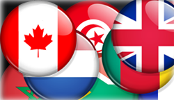 Referencement multilingue SEO International